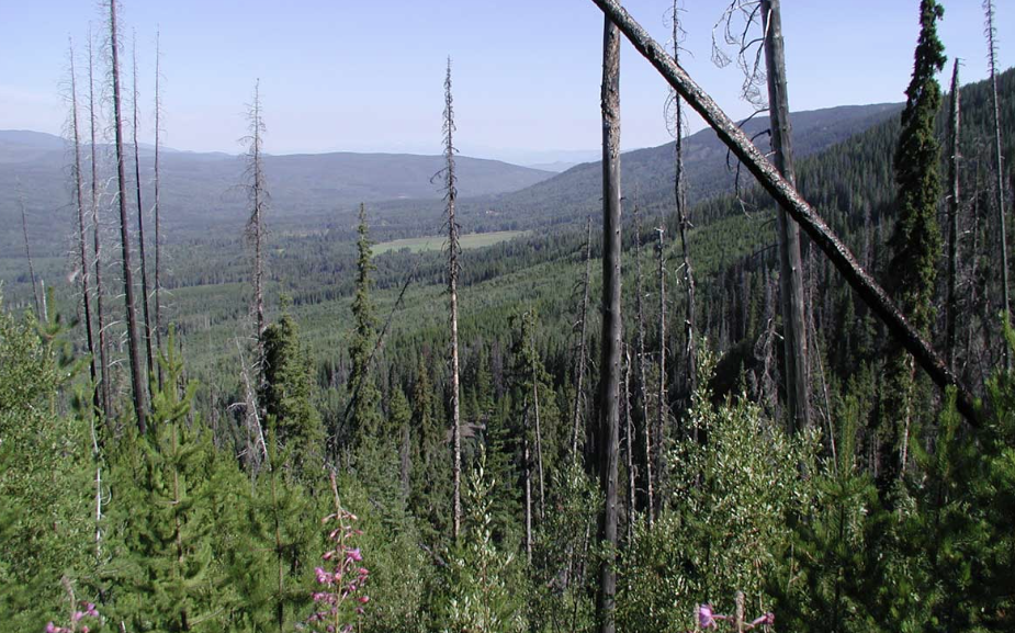 Sun Summit reaches peak Creek Zone grade